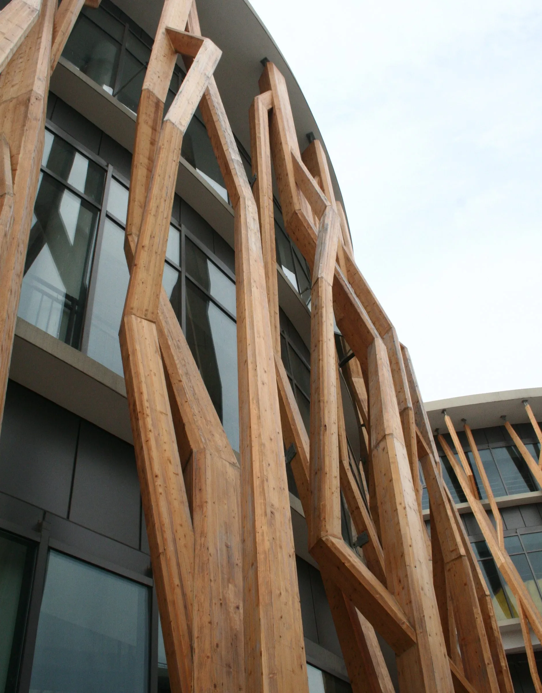 Timber tree columns branching in front of a curved glass façade