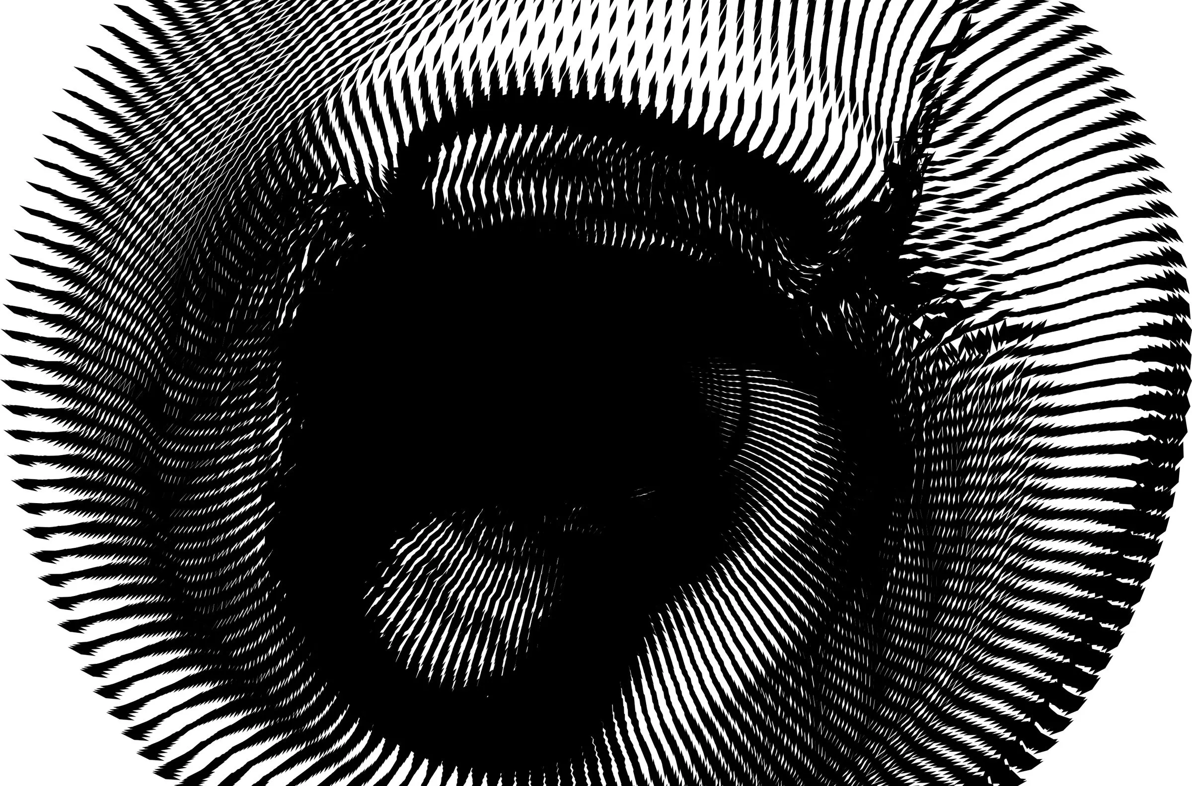 A black-and-white pattern of radiating lines that warp into a circular figure