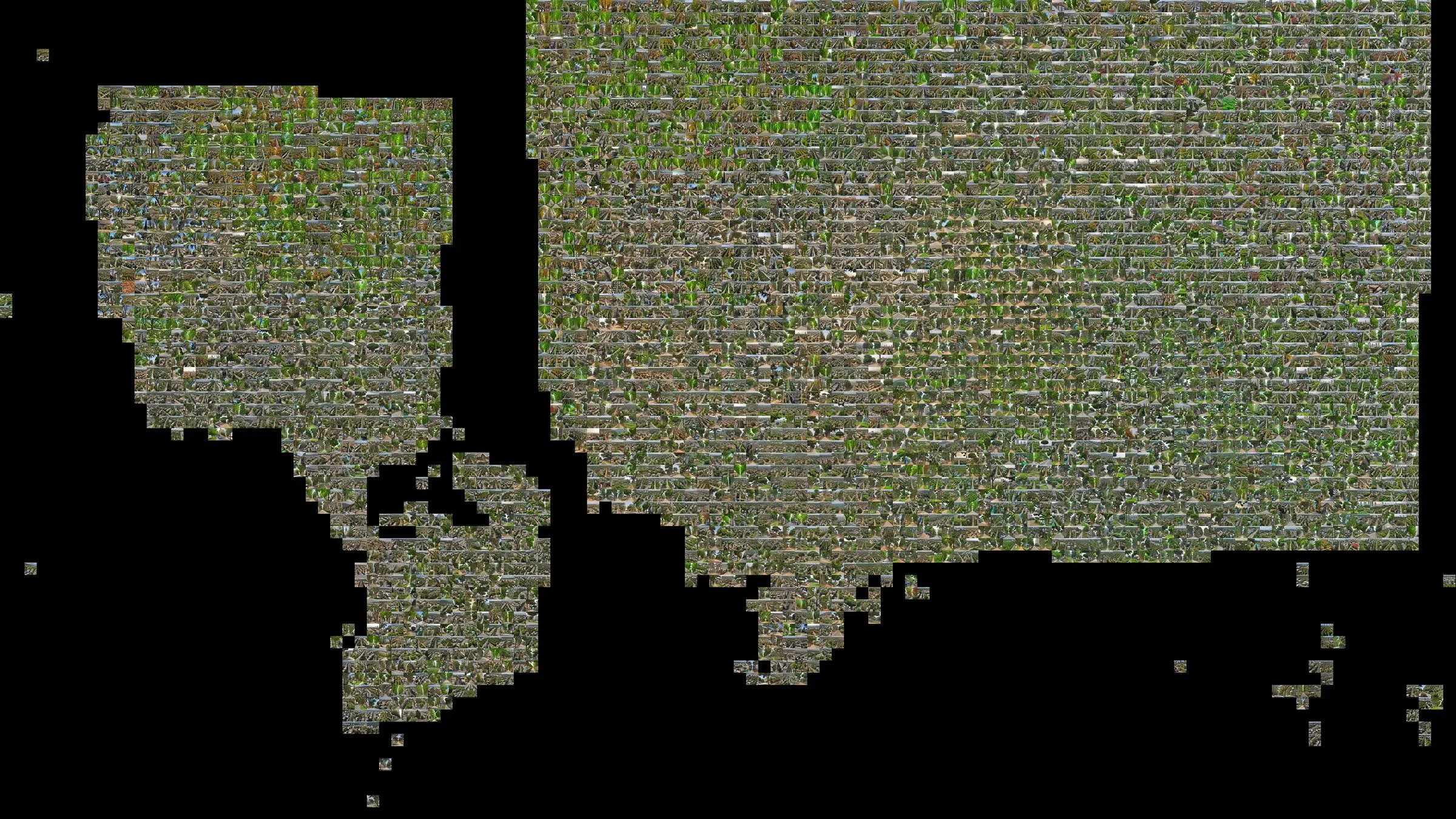 A map of Texas made of small green generated images
