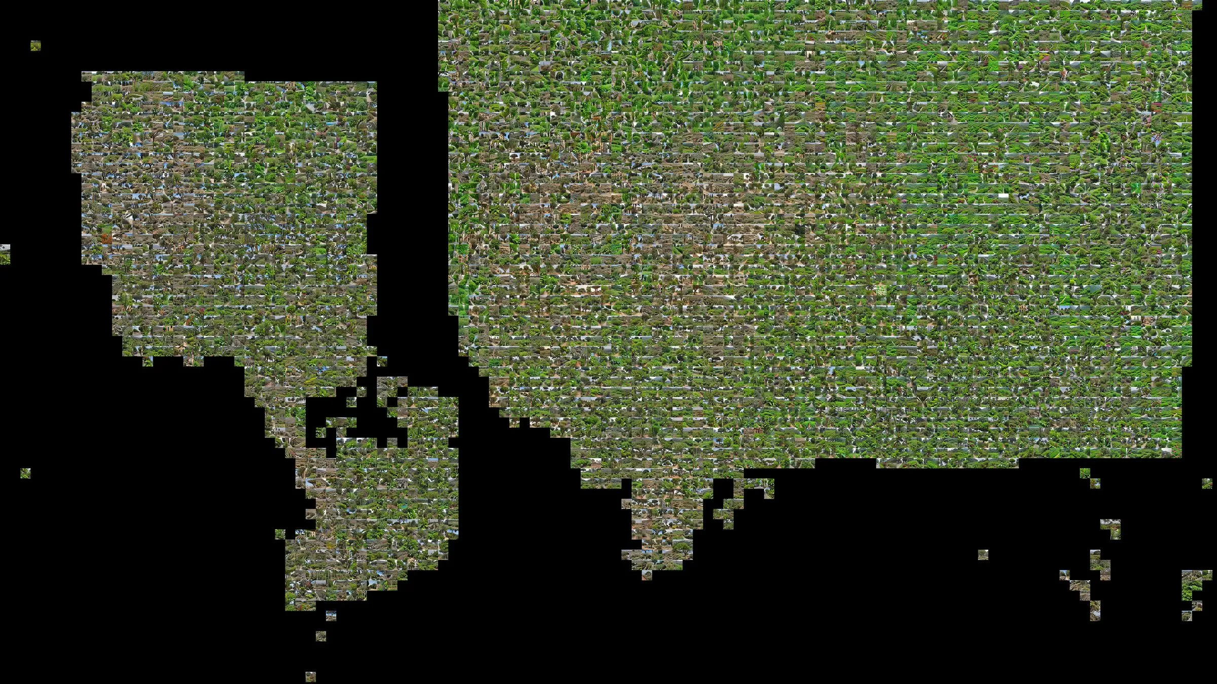 Lca map vegetation