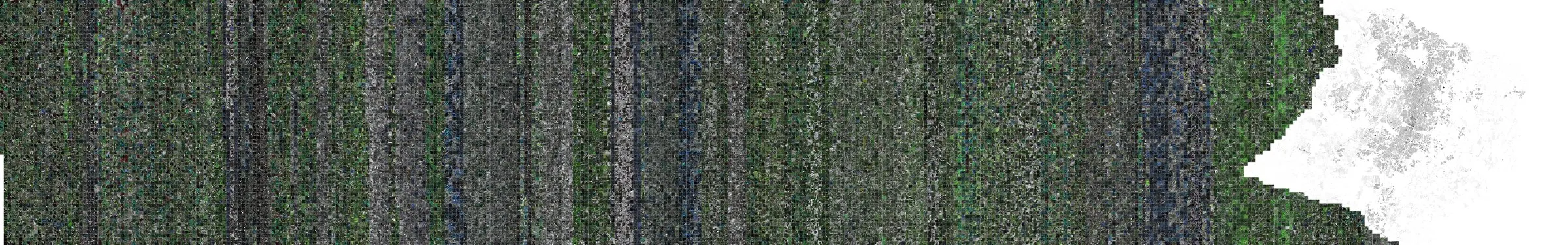 A field of forest squares, each one square kilometre, adding up to the forest needed to absorb Austin's yearly emissions