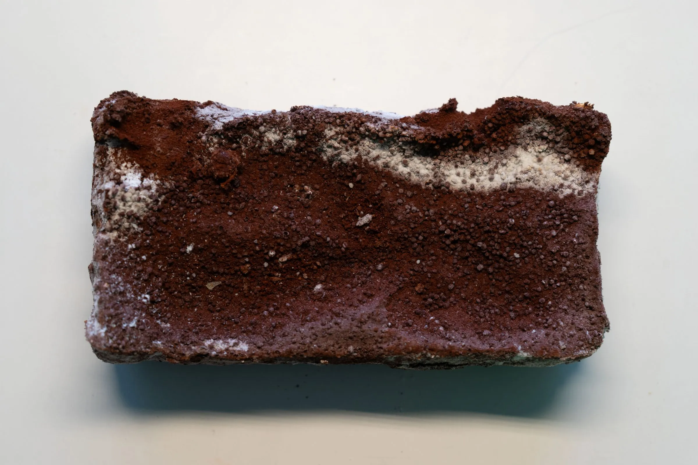 Step2 baking and testing generated materials