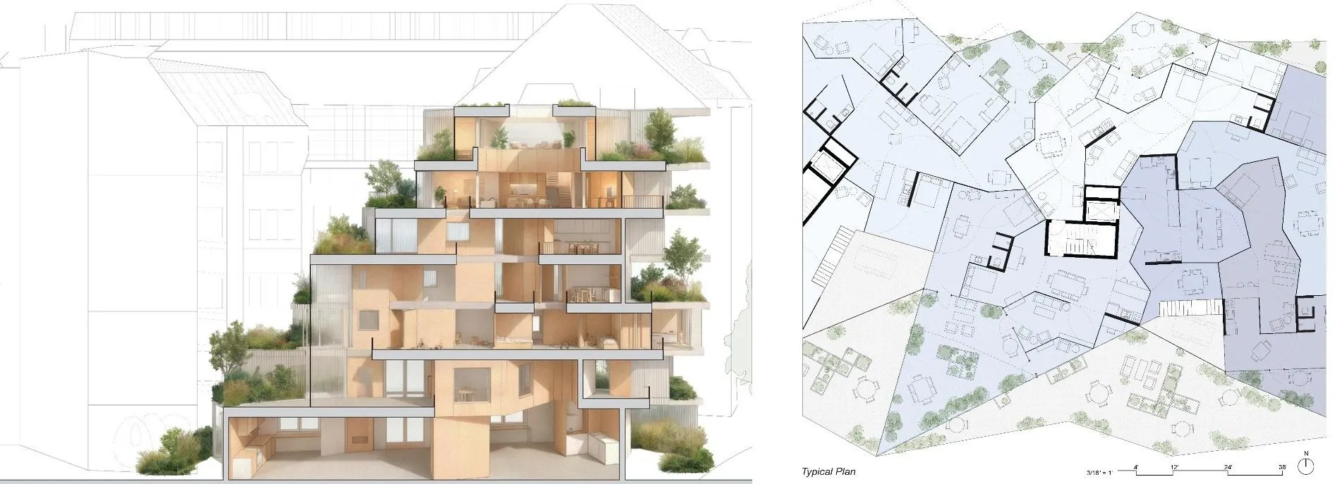 Jasmine Way's section with planted terraces and her typical plan, side by side